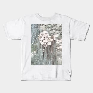 Pebbles on tree stump Kids T-Shirt